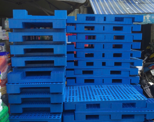Pallet nhựa – Người bạn thầm lặng trong kho hàng của doanh nghiệp Việt