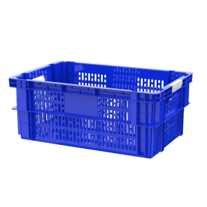 Sóng Hở 2 Màu 2T4