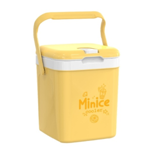 Thùng Đá Minice 2